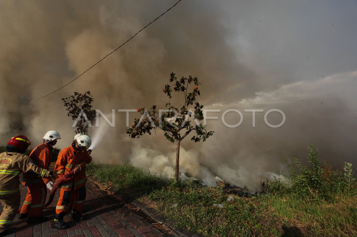 Kebakaran Lahan Di Surabaya ANTARA Foto