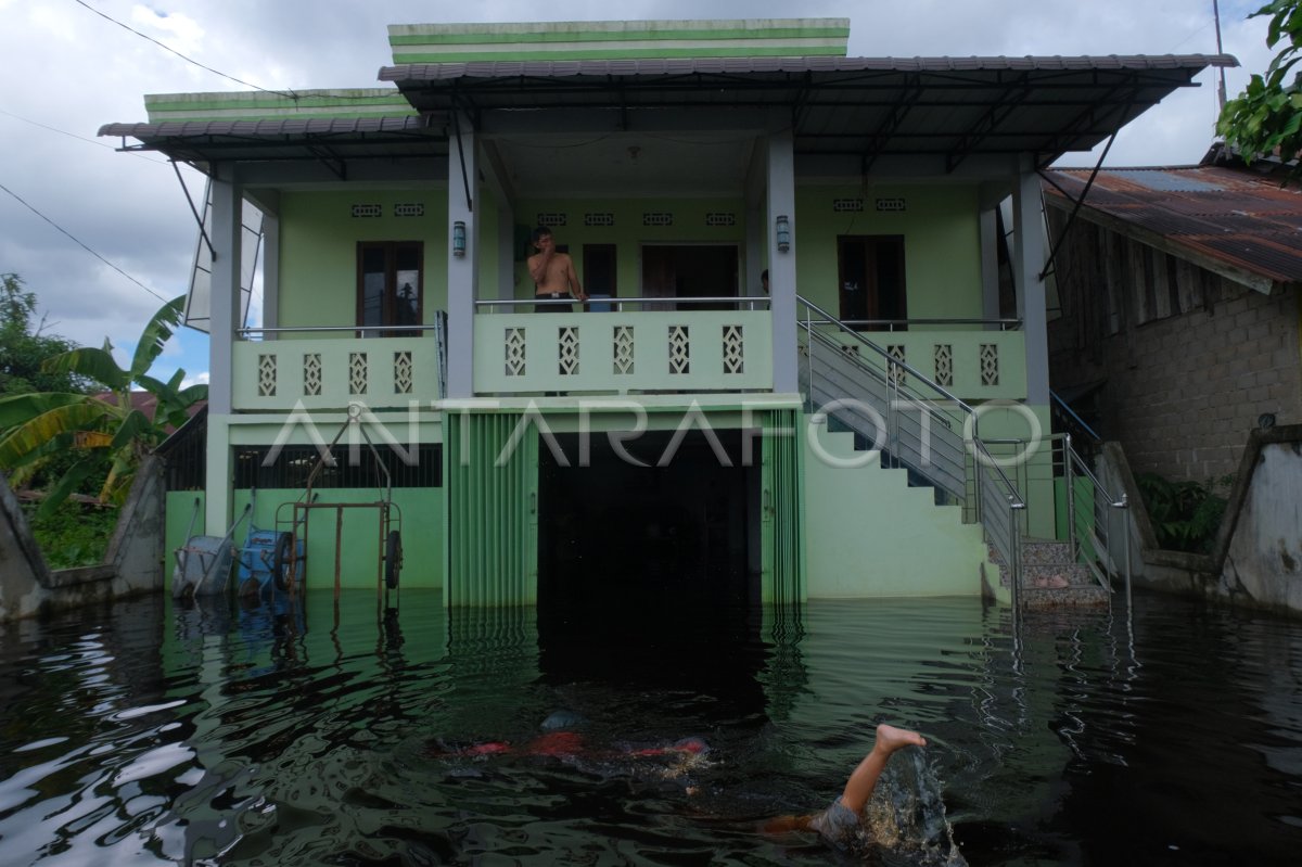 Banjir Merendam Permukiman Di Kabupaten Kubu Raya ANTARA Foto