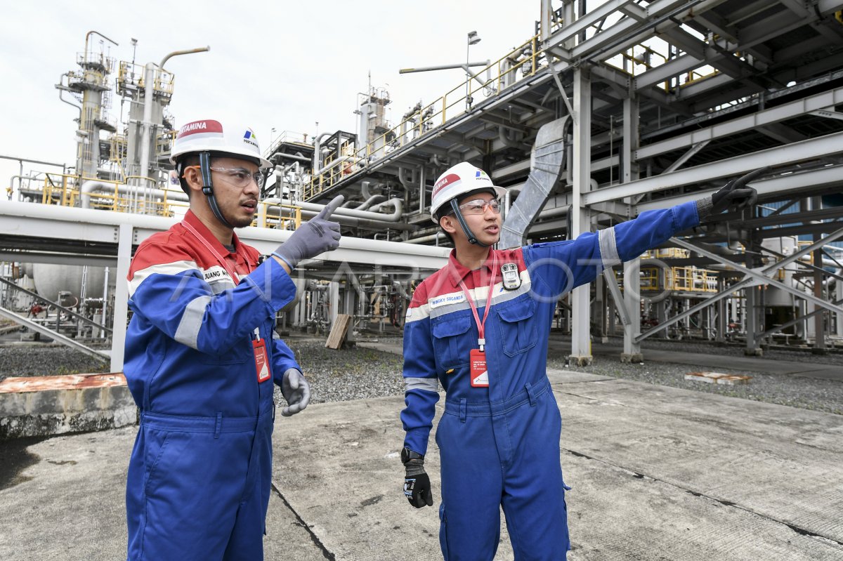 Komitmen Kinerja Esg Pertamina Ep Donggi Matindok Field Antara Foto