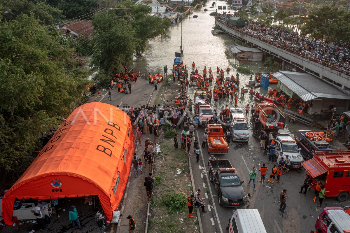 Relawan Gabungan Berkolaborasi Membantu Korban Banjir Di Demak ANTARA