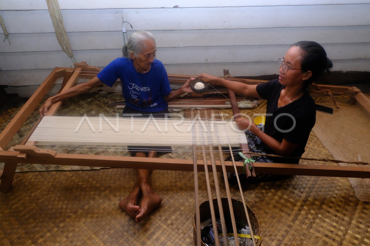 Proses Membentang Benang Tenun Ikat Dayak Iban Manua ANTARA Foto