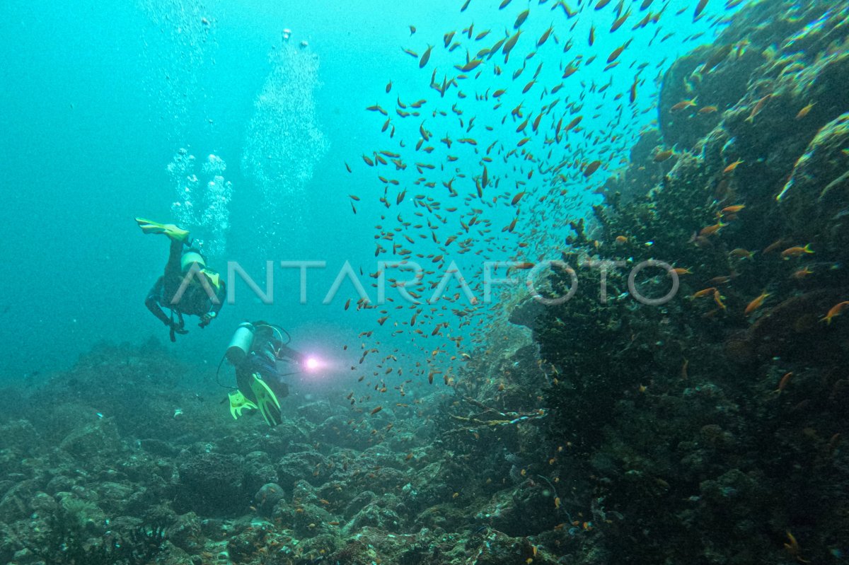 Wisata Selam Unggulan Di Pulau Weh Sabang Antara Foto