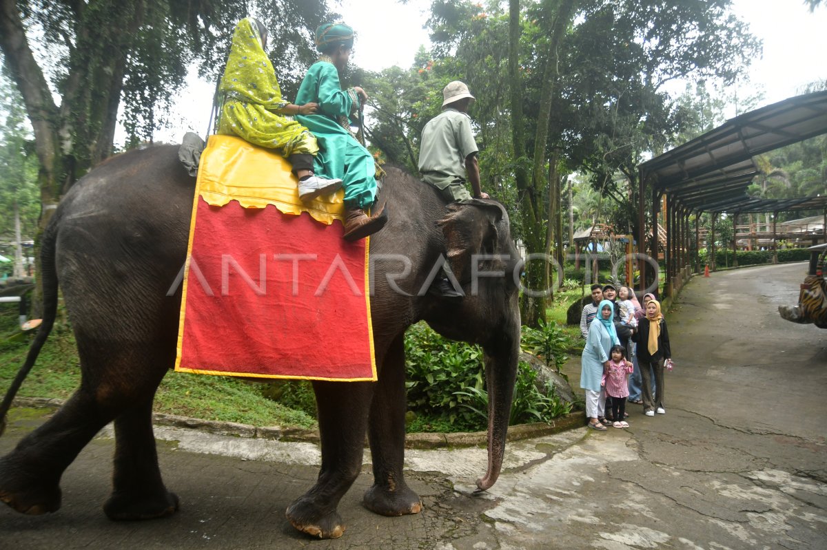 Tingkat Hunian Hotel Di Libur Lebaran Antara Foto