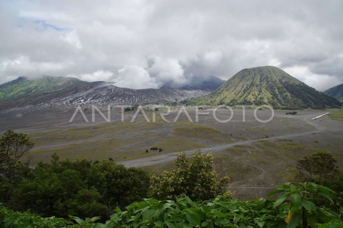 Penutupan Sementara Kawasan Gunung Bromo ANTARA Foto