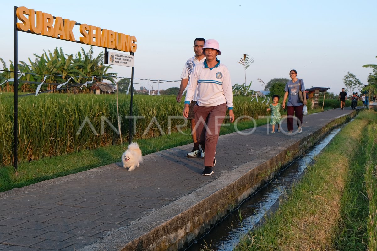 Persiapan Lokasi Wisata Jelang Kunjungan Delegasi WWF Di Bali ANTARA Foto