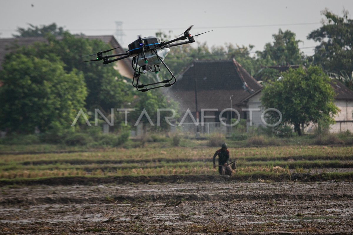 Teknologi Drone Untuk Pertanian Di Sukoharjo Antara Foto