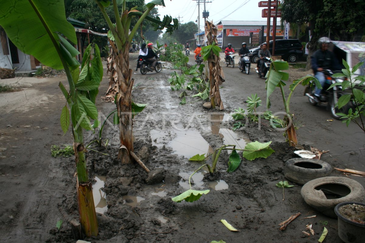 PROTES JALAN RUSAK ANTARA Foto