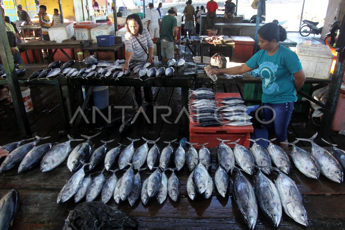 Produksi Ikan Indonesia Antara Foto