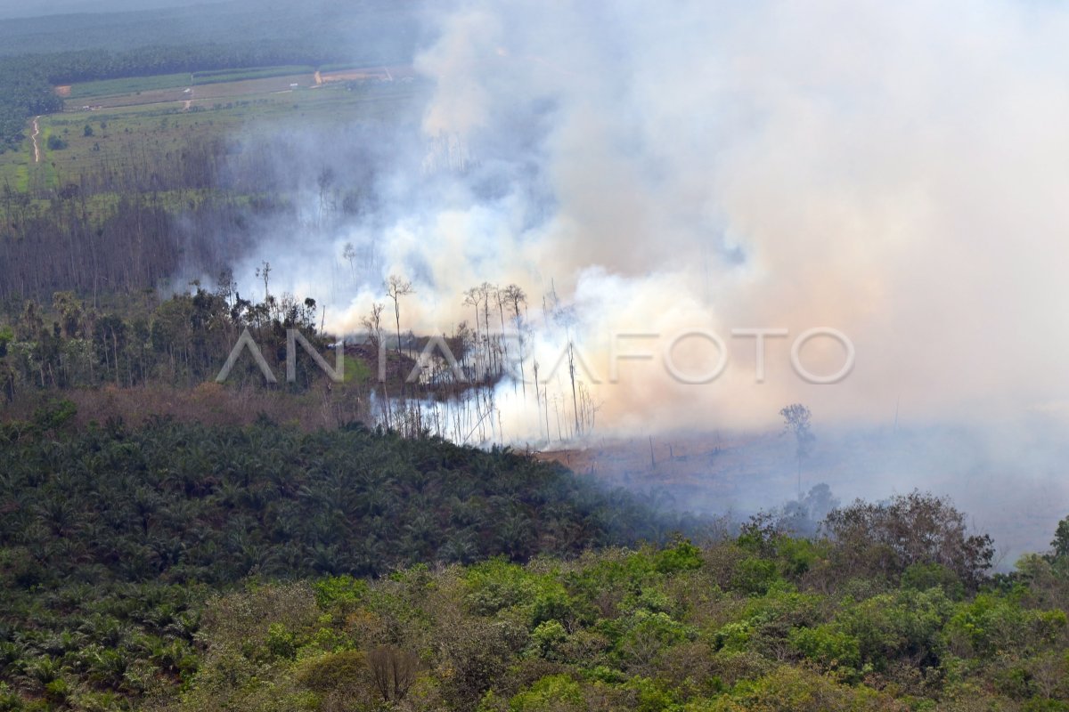 Kebakaran Hutan Riau Antara Foto