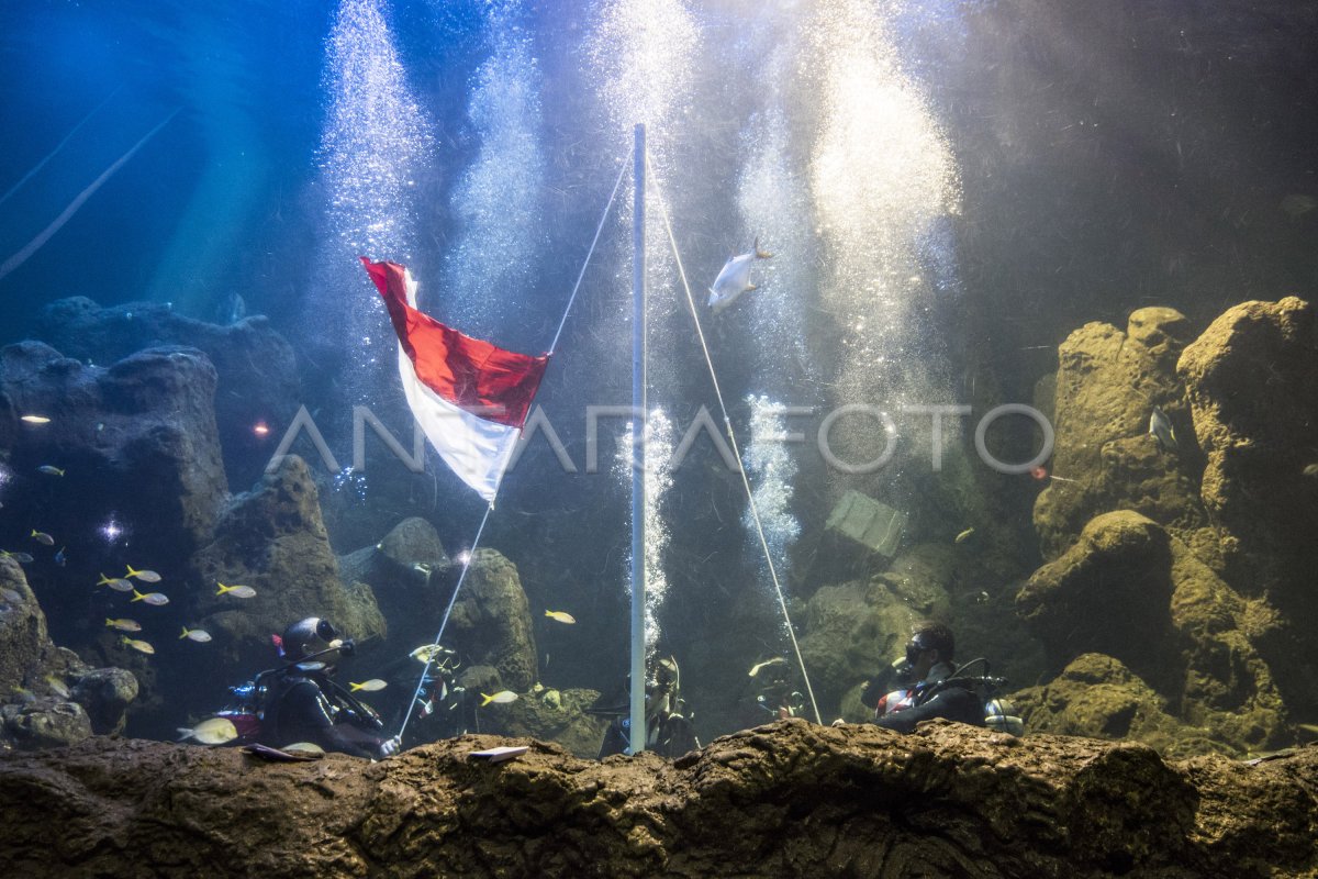 Pengibaran Merah Putih Sea World Antara Foto