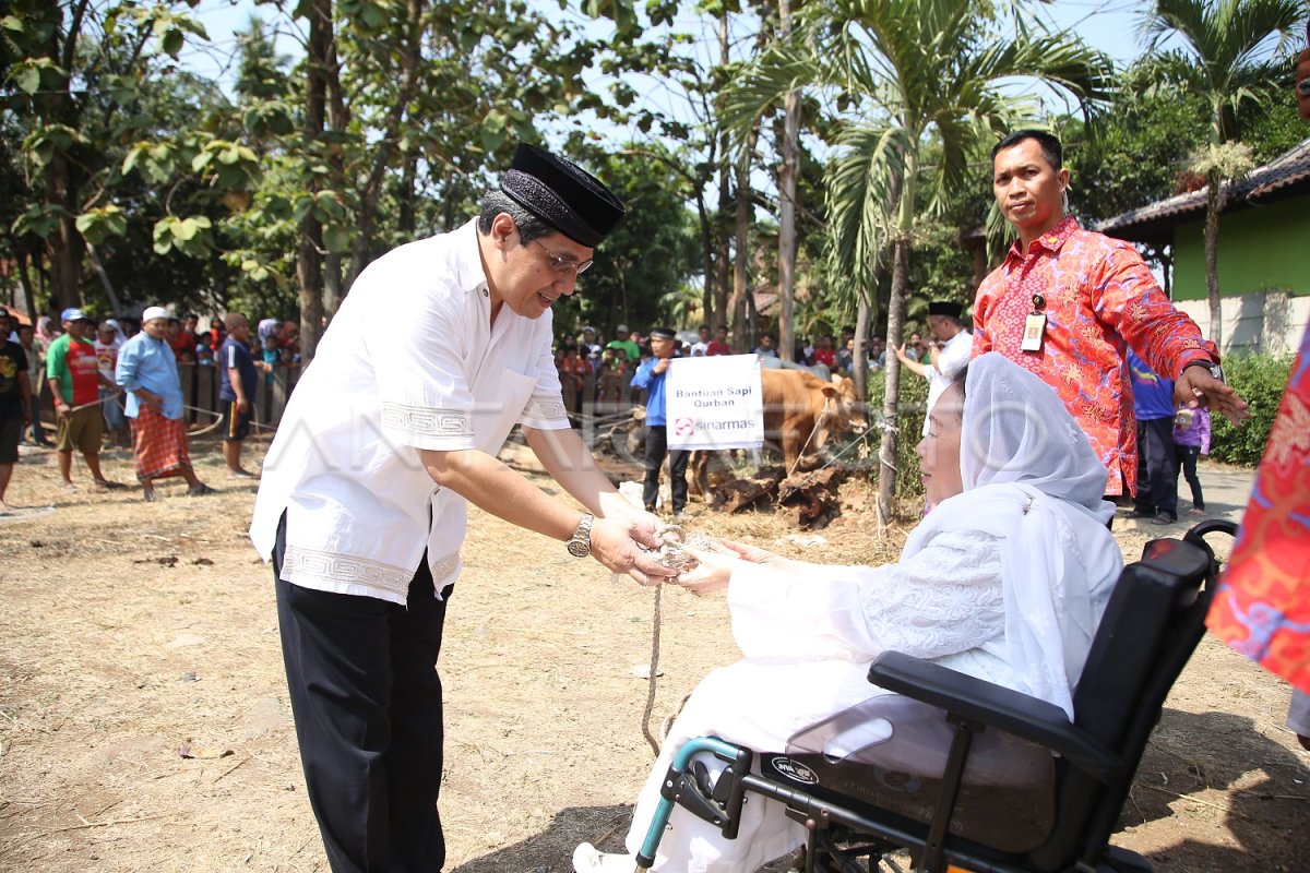 BANTUAN KURBAN SINAR MAS ANTARA Foto