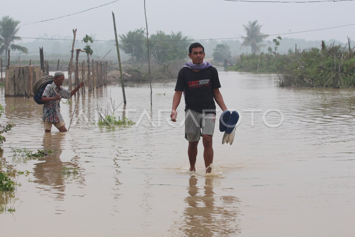 Petambak Rugi Akibat Banjir Antara Foto