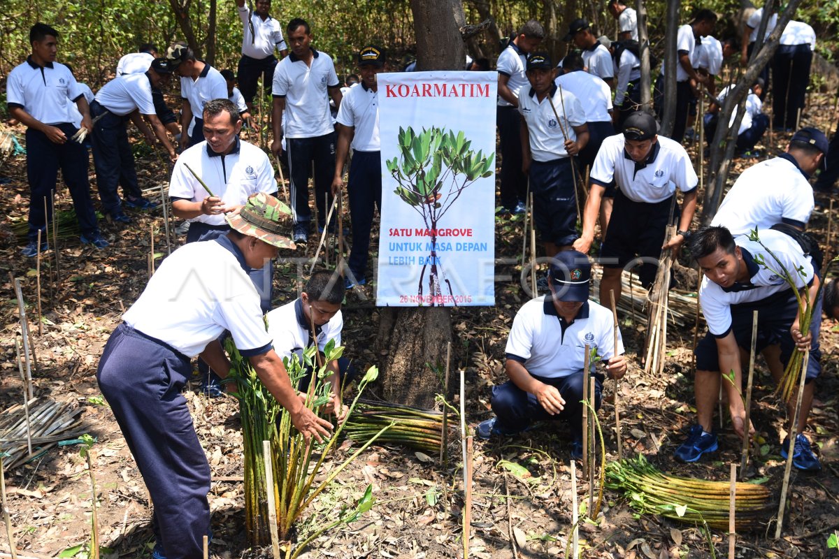 Penanaman Mangrove Koarmatim Antara Foto