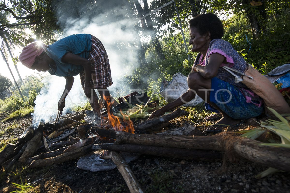 TINGKAT KEMISKINAN DI PAPUA BARAT ANTARA Foto