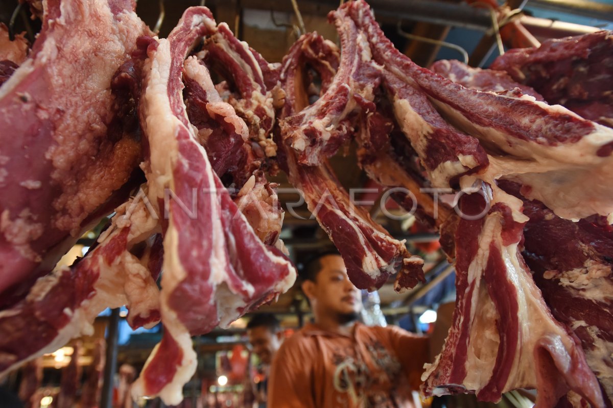 TEKAN HARGA DAGING SAPI ANTARA Foto