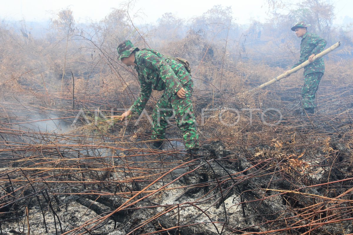 KENDALA PEMADAMAN LAHAN GAMBUT ANTARA Foto