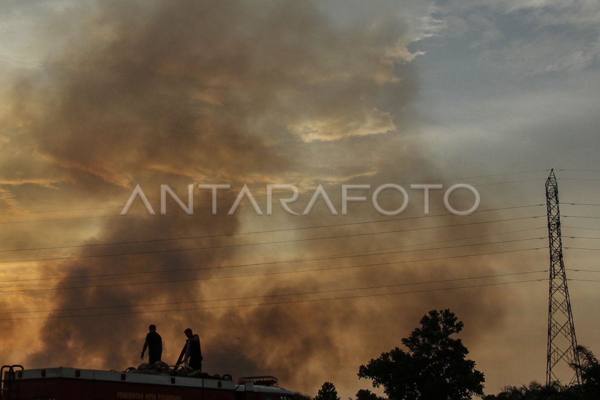 Kebakaran Lahan Di Pekanbaru Antara Foto