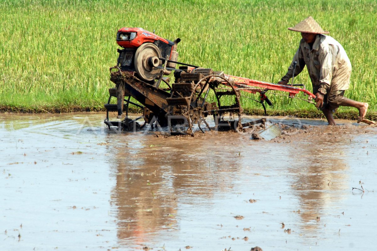 MODERNISASI PERALATAN PERTANIAN ANTARA Foto