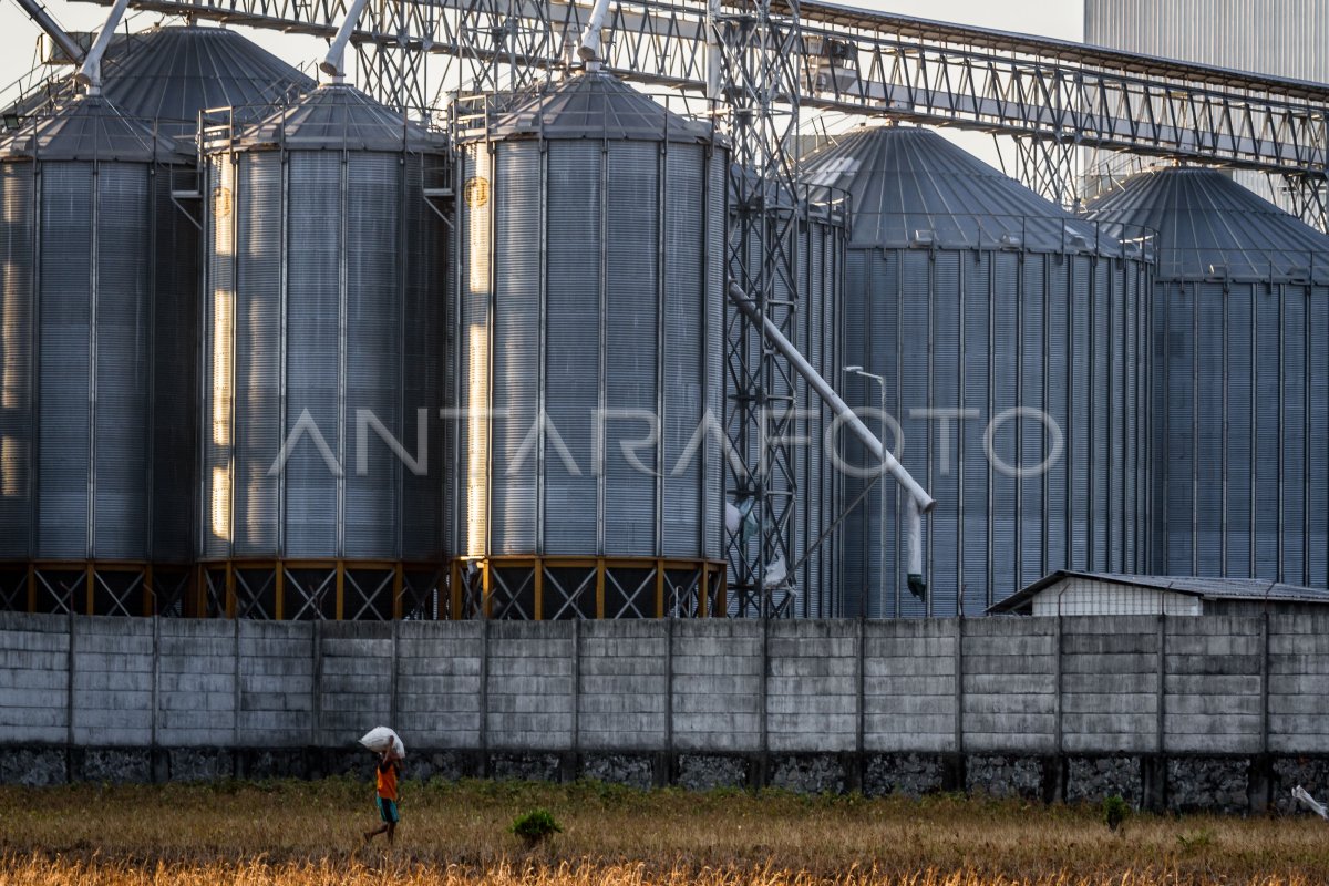 PRODUKSI PAKAN TERNAK NASIONAL ANTARA Foto