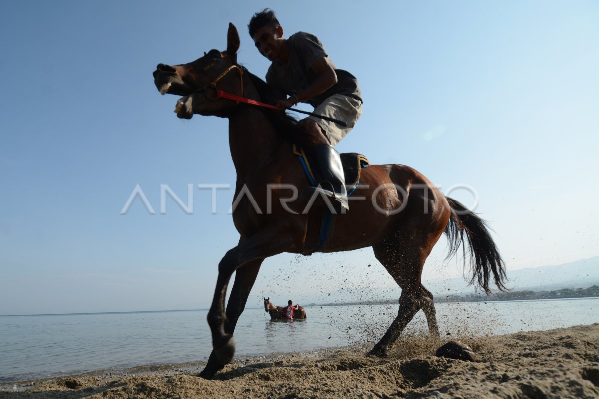 Wisata Latihan Kuda Pacu Antara Foto