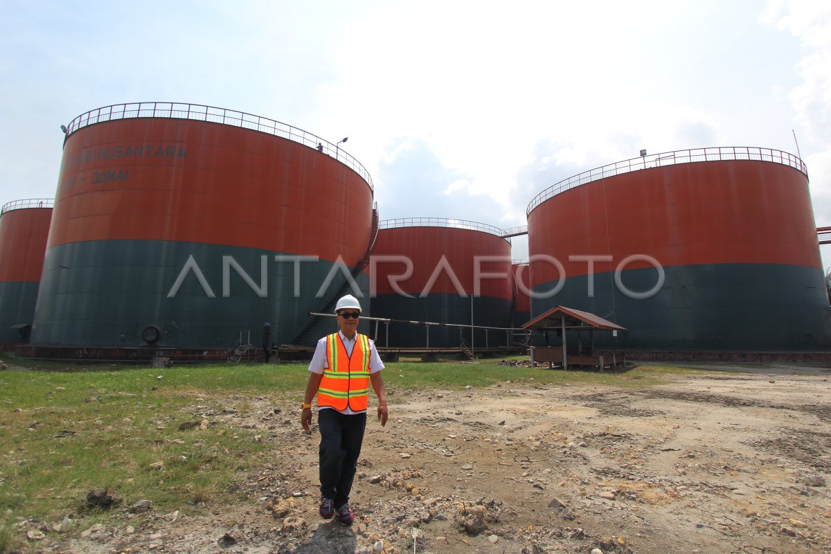 Produksi Minyak Sawit Perusahaan Negara Antara Foto