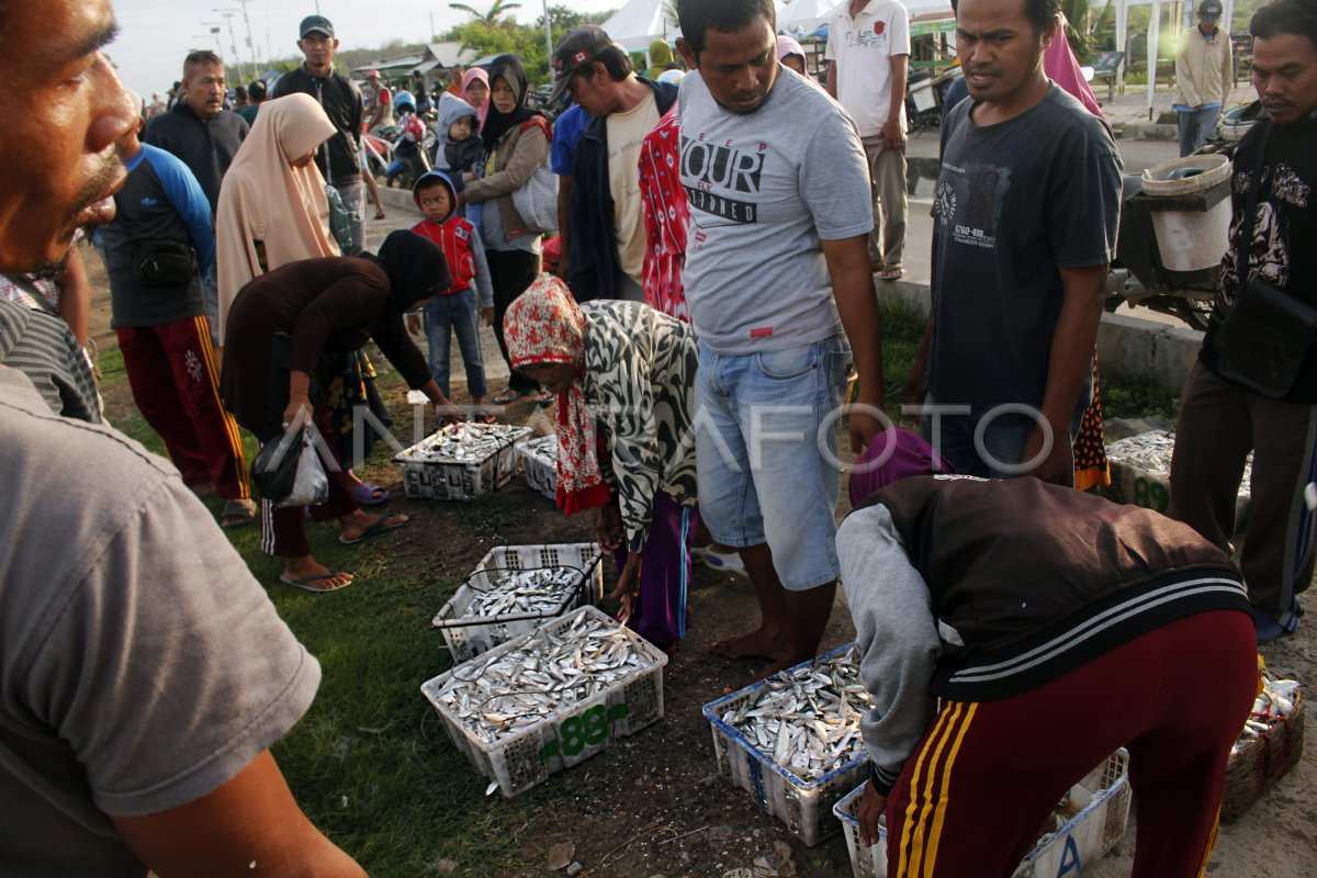 Hasil Tangkapan Ikan Menurun Antara Foto