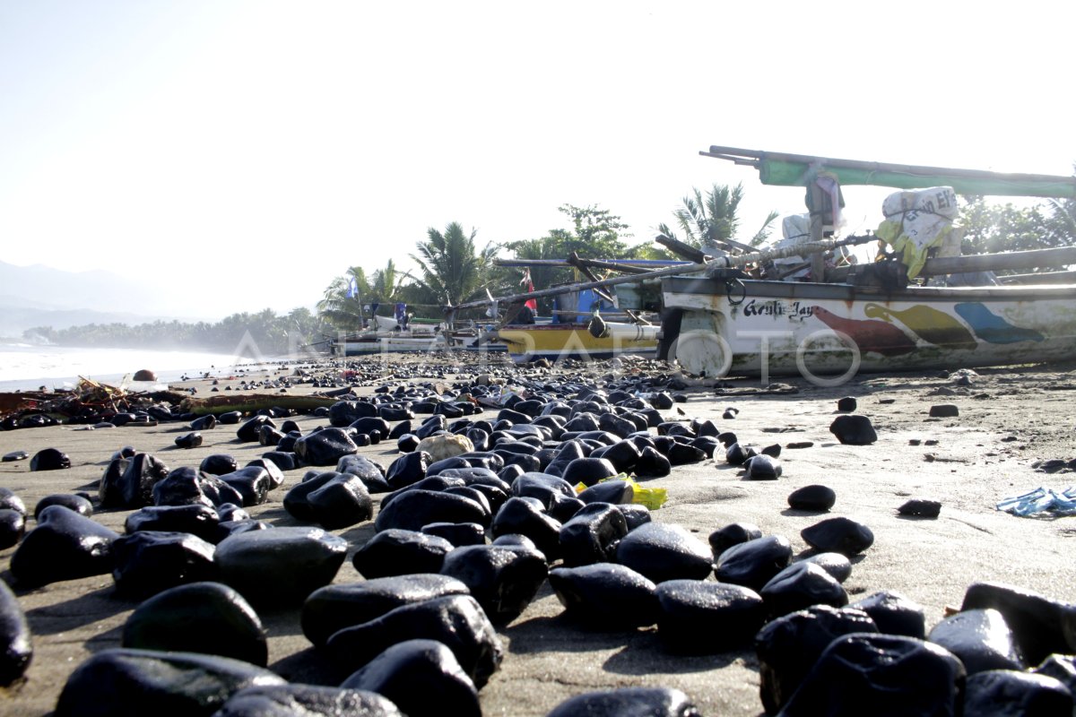 Tumpahan Batu Bara Di Pantai Sukabumi Antara Foto