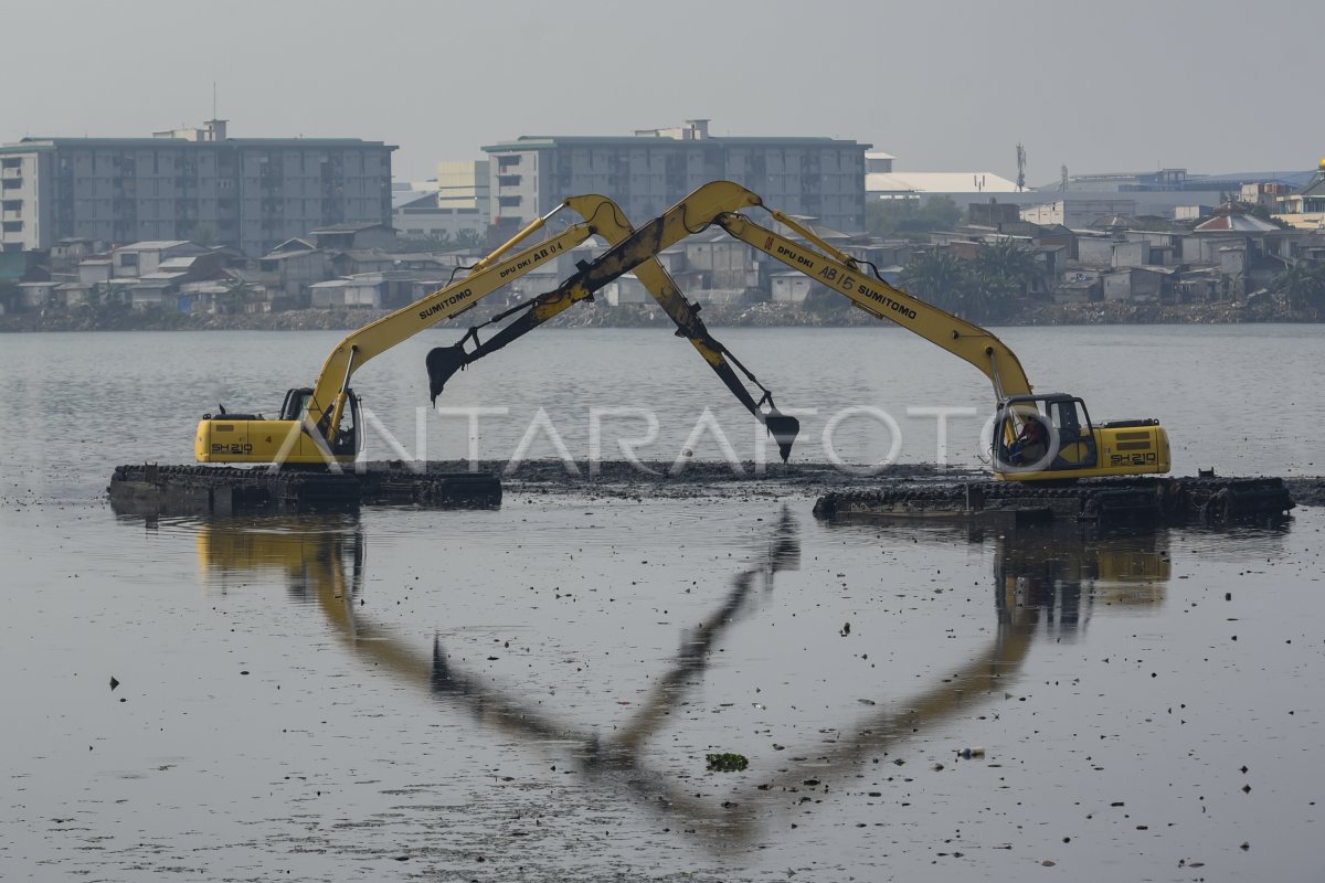 Waduk Pluit Mengalami Pendangkalan Antara Foto