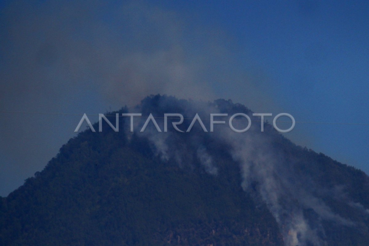 KEBAKARAN HUTAN GUNUNG PANDERMAN ANTARA Foto