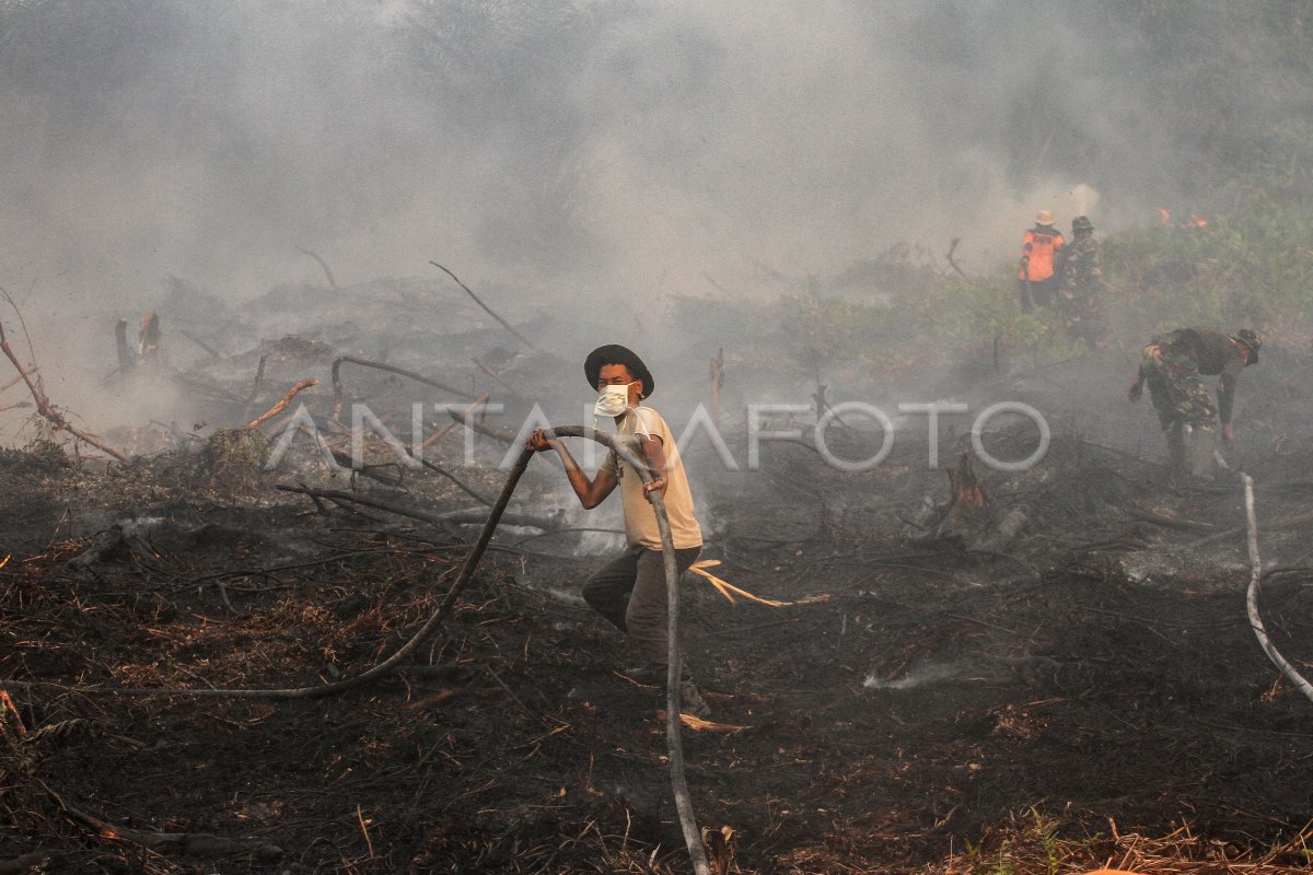 Kebakaran Hutan Dan Lahan Di Pekanbaru Antara Foto