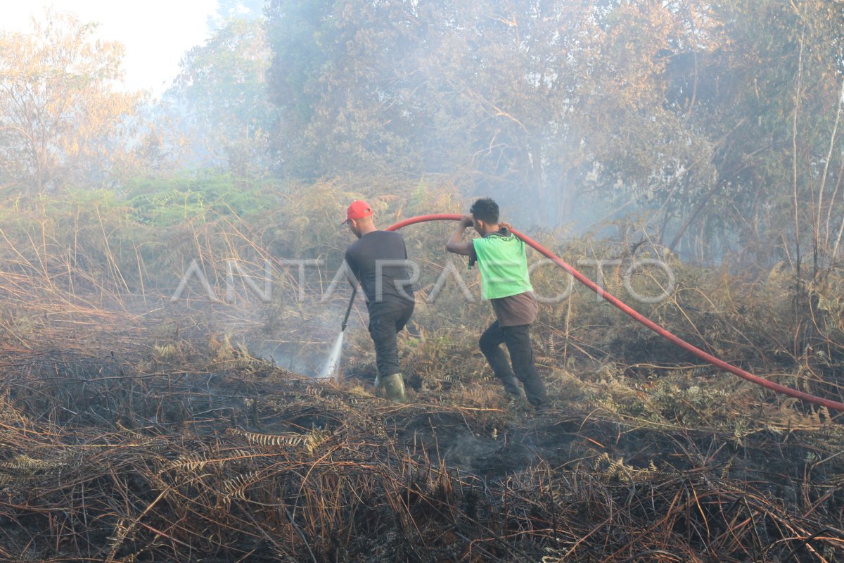 Kebakaran Hutan Dan Lahan Kembali Di Aceh Barat Antara Foto