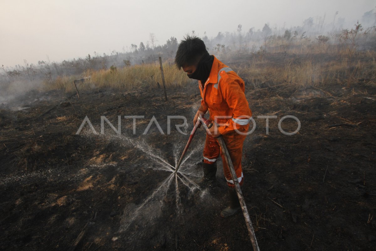 TITIK API DI INDONESIA TERDETEKSI SATELIT LAPAN ANTARA Foto