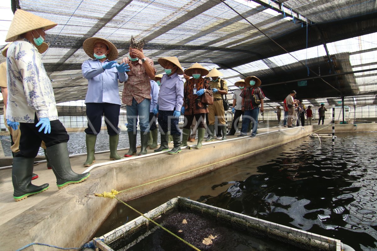 TARGET BUDIDAYA SIDAT TAHUN 2020 ANTARA Foto