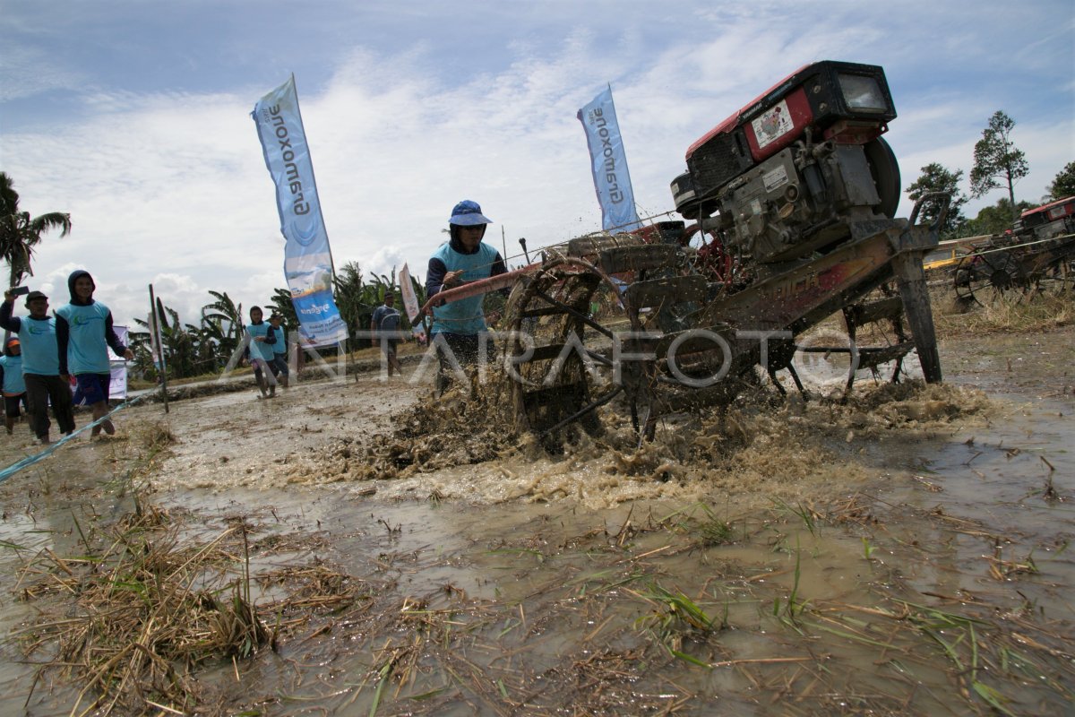 Lomba Balap Hand Traktor Dan Tangkap Ikan Antara Foto