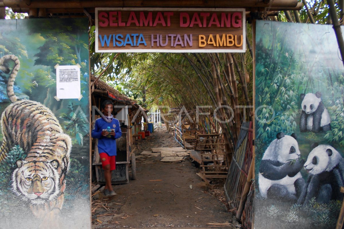 Penutupan Wisata Hutam Bambu Di Bekasi Antara Foto