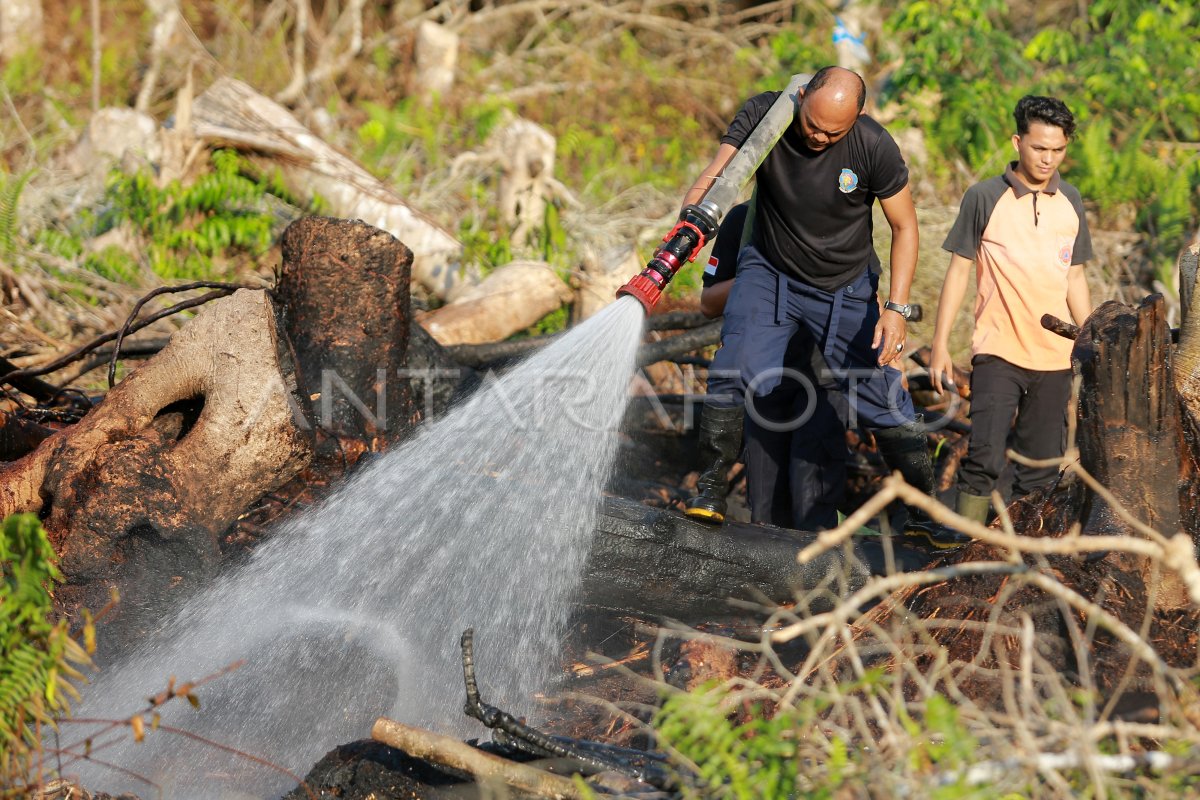 Upaya Pemadaman Kebakaran Lahan Gambut Di Aceh Barat Antara Foto