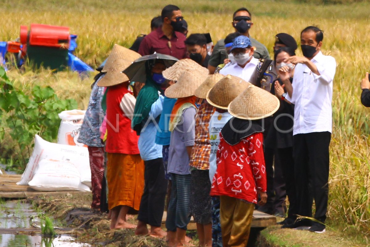 KUNJUNGAN KERJA PRESIDEN DI MALANG ANTARA Foto