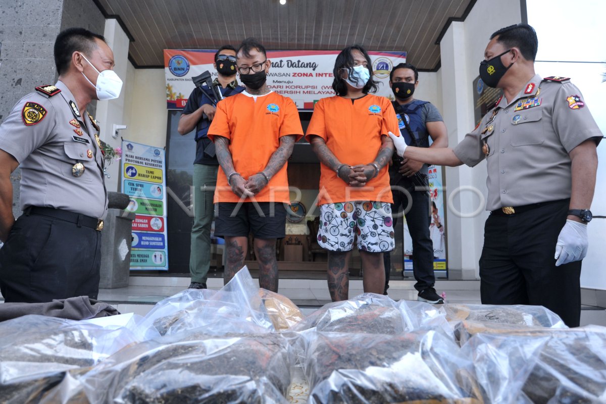 PENGUNGKAPAN KASUS NARKOTIKA DI BALI ANTARA Foto