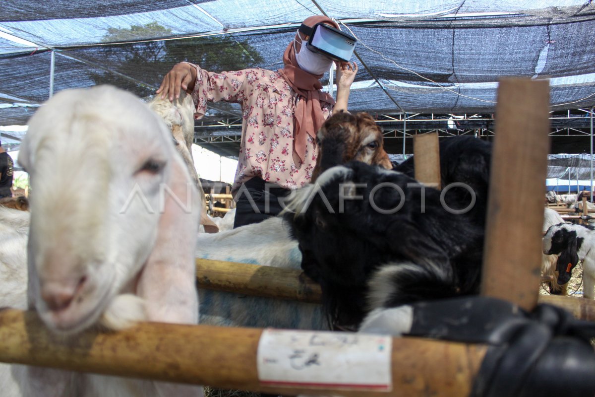 Pemanfaatan Teknologi Digital Dalam Penjualan Hewan Kurban Antara Foto