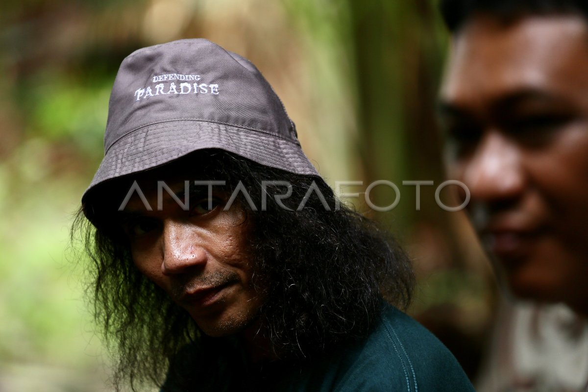 Kolaborasi Slank Dalam Perlindungan Hutan Di Papua Antara Foto