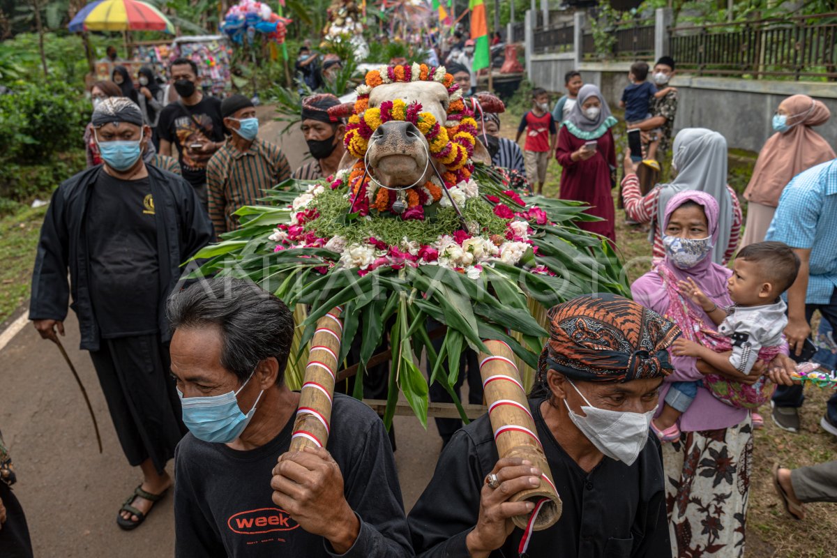 Kirab Nyadran Kali Sendang Gedhe Antara Foto