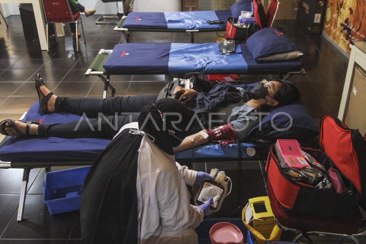 Ketersediaan Stok Darah Pmi Antara Foto