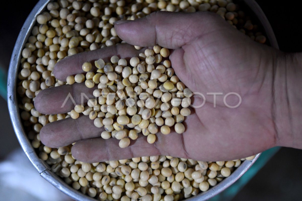 Mogok Produksi Tahu Tempe Di Jakarta Antara Foto