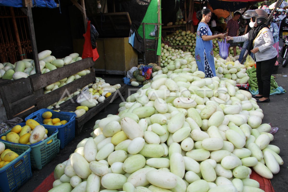 PENJUALAN BUAH TIMUN SURI MENINGKAT ANTARA Foto