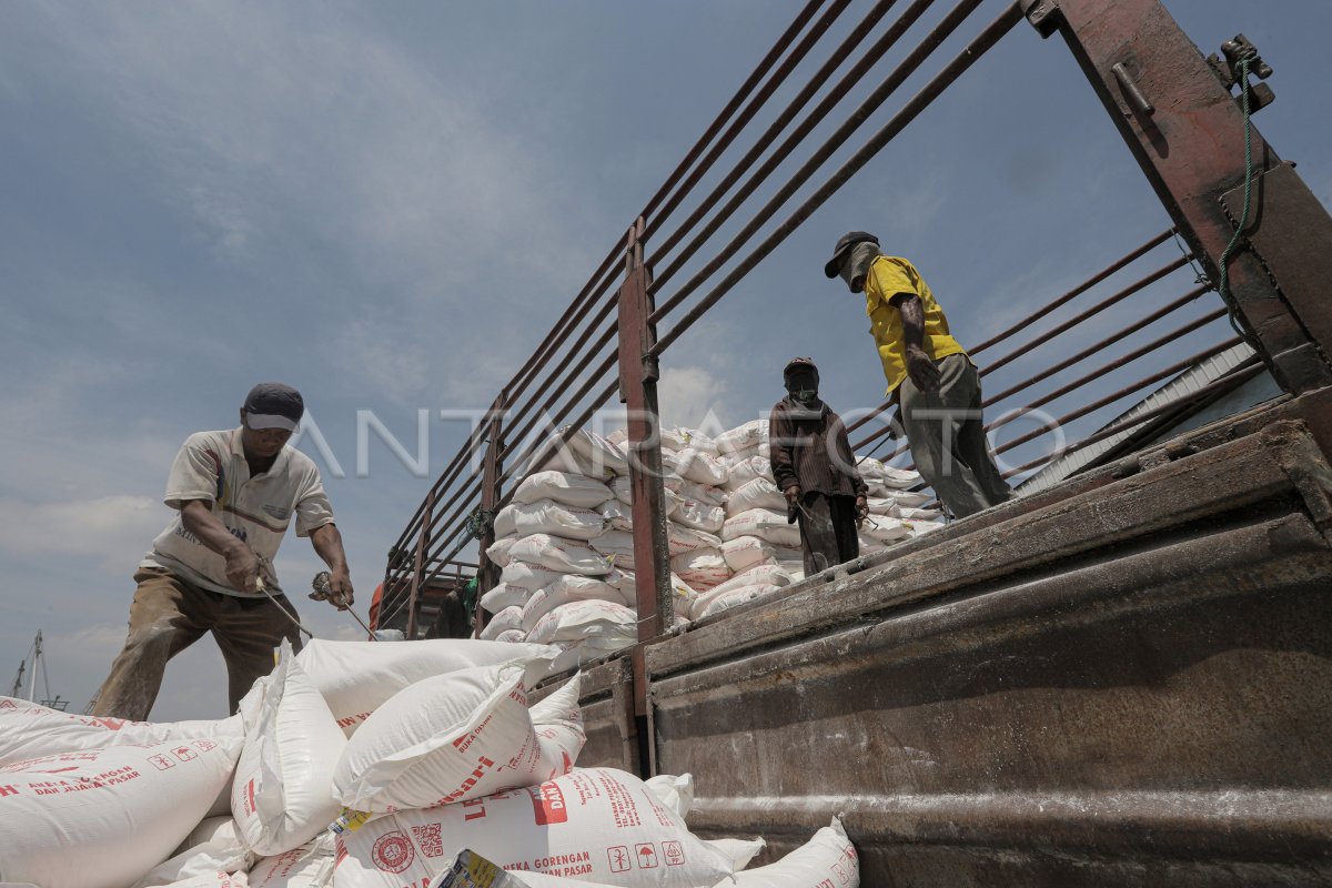 AKTIVITAS BONGKAR MUAT TERMINAL KALIMAS ANTARA Foto