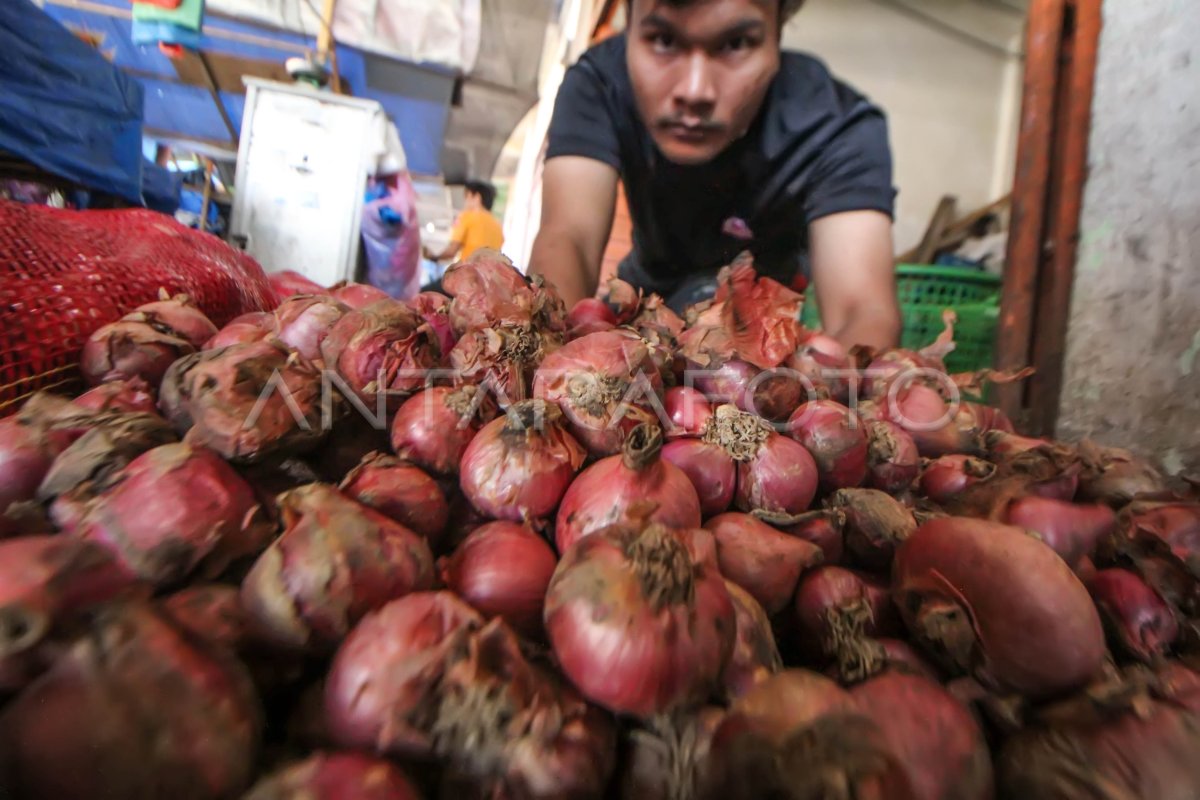 LONJAKAN HARGA BAWANG MERAH ANTARA Foto