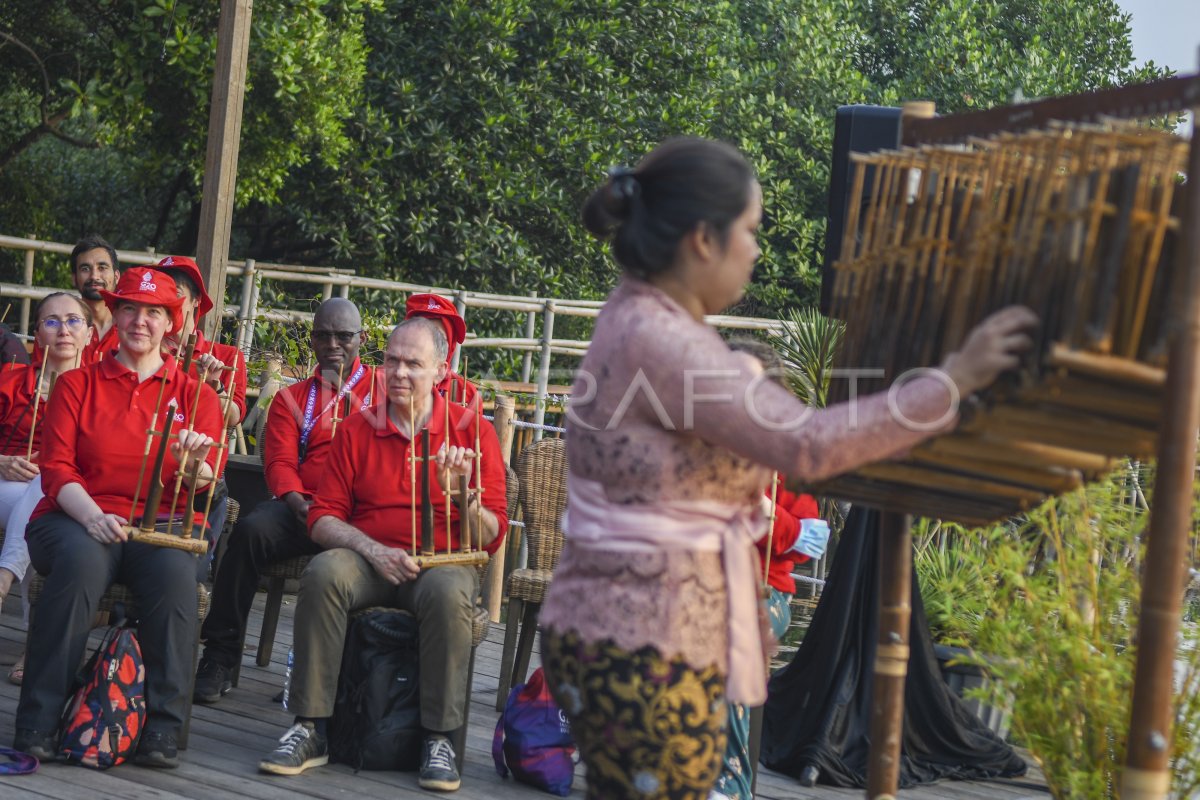 DELEGASI EDM CSWG KUNJUNGI TAMAN WISATA ALAM MANGROVE ANTARA Foto