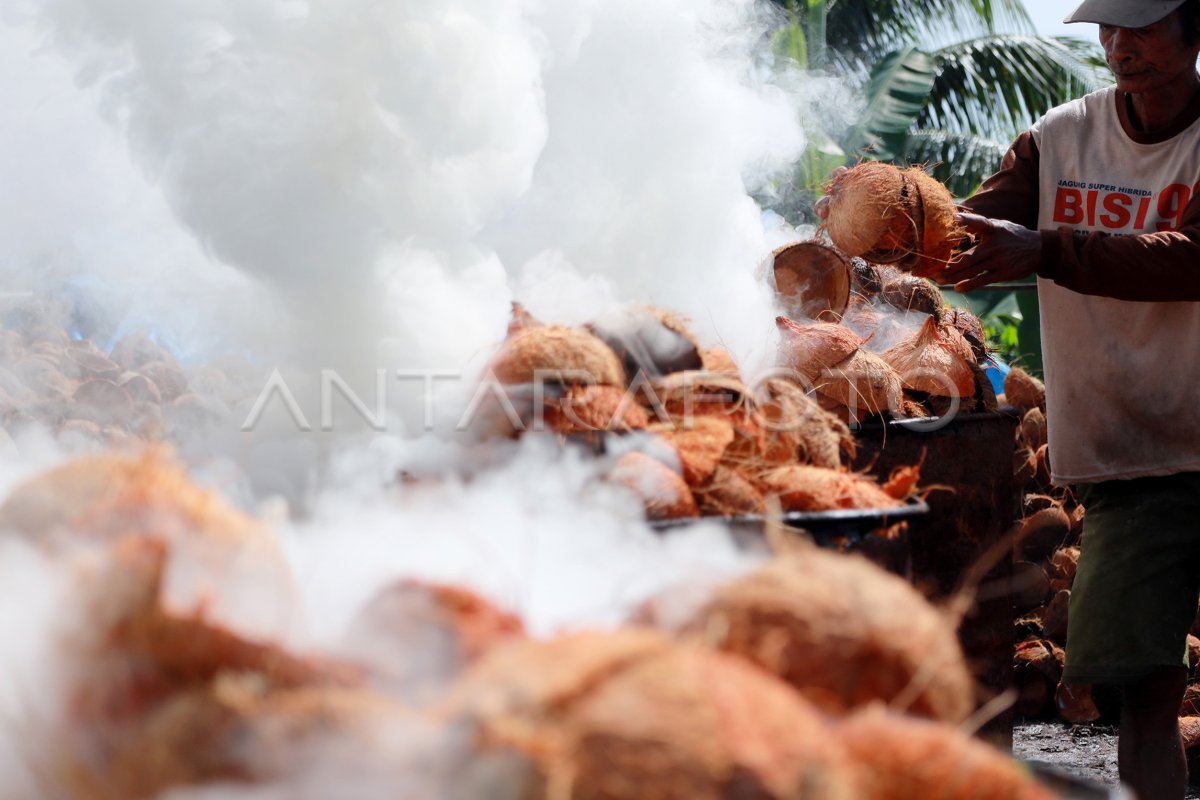 PRODUSKI ARANG TEMPURUNG KELAPA ANTARA Foto