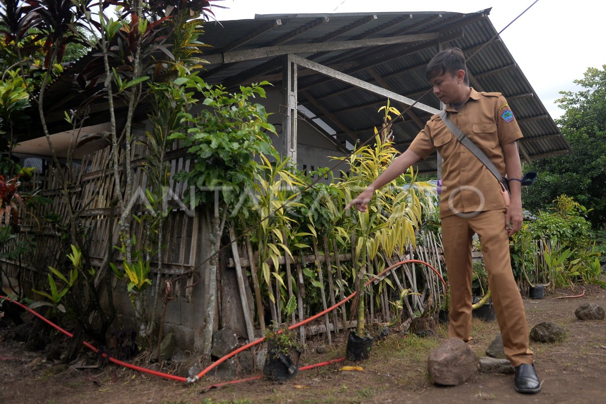 Pemanfaatan Kotoran Ternak Jadi Biogas Antara Foto