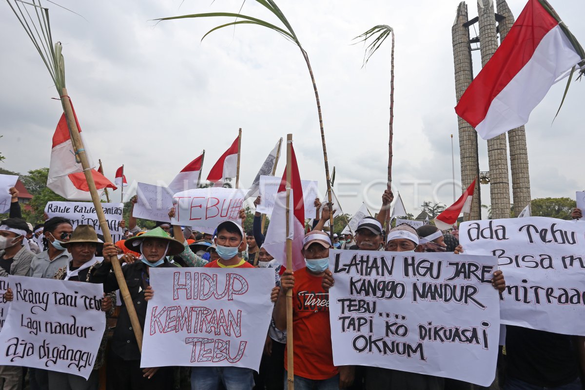 AKSI PETANI TEBU ANTARA Foto